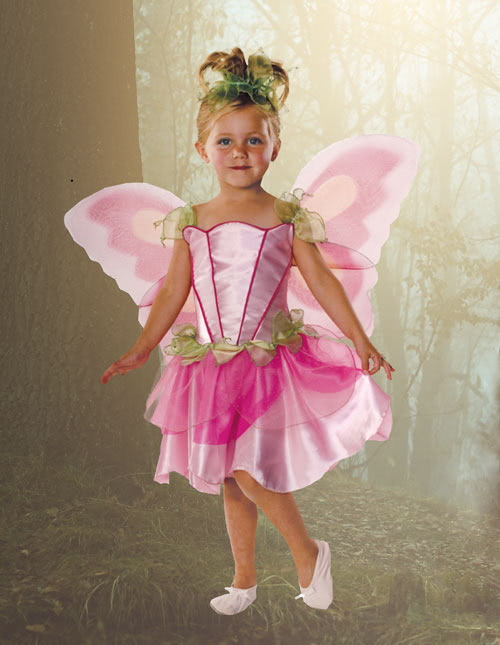 Fairy Dress Fairy Dress