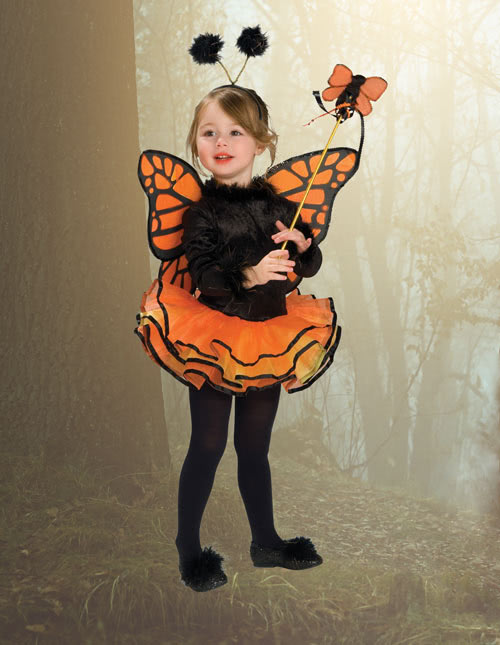 Butterfly Costume Butterfly Costume